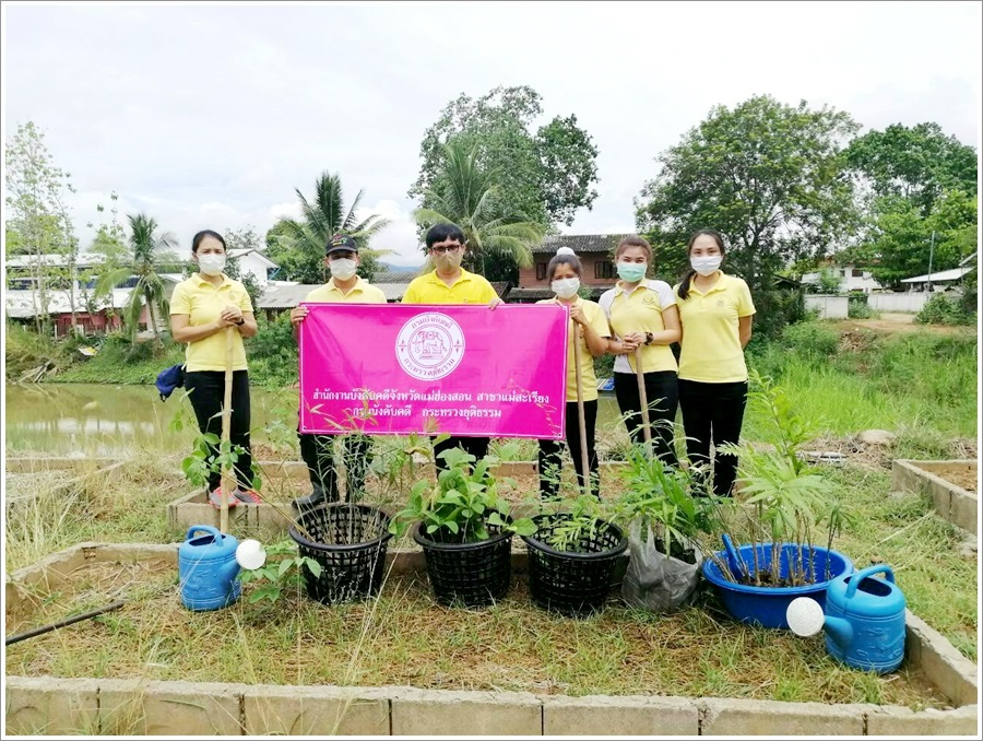 ﻿สำนักงานบังคับคดีจังหวัดแม่ฮ่องสอน สาขาแม่สะเรียง จัดกิจกรรมปลูกต้นไม้ประจำปีของชาติ